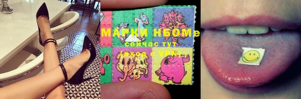 ГАЛЛЮЦИНОГЕННЫЕ ГРИБЫ Лагань