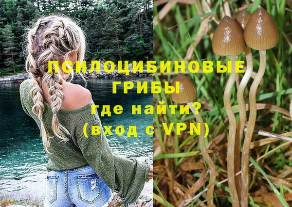 мдпв Лиски