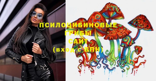 молекула духа Красноперекопск