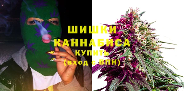 мдпв Пересвет